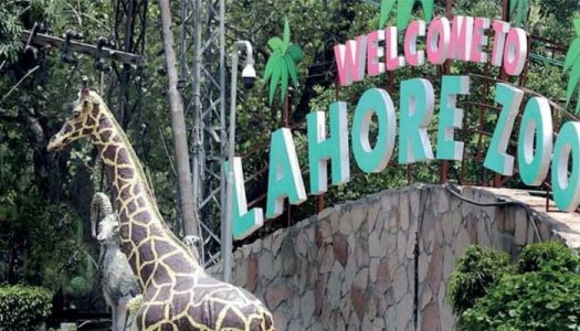 1456546_9780743_lhrZoo_updates.jpg