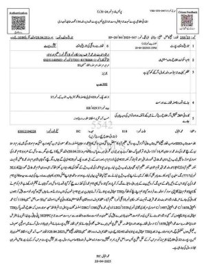 fir-2.jpg