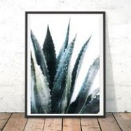 aloeveraa