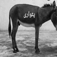 Dilwaly