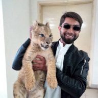 Rehman_558