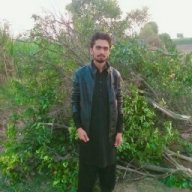 Usama warraich
