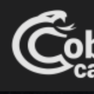 Cobra Casino