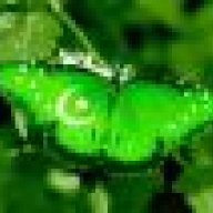 Chan_Mahi