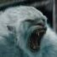 Yetti