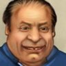 PMLN_Lion