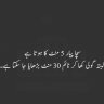 sheraz9212