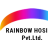 rainbowhosierytextile