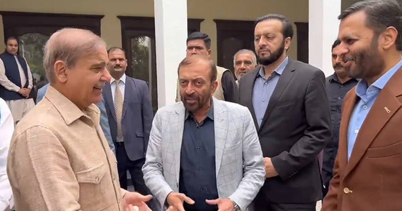 11mqmpmllpwrshrng.png