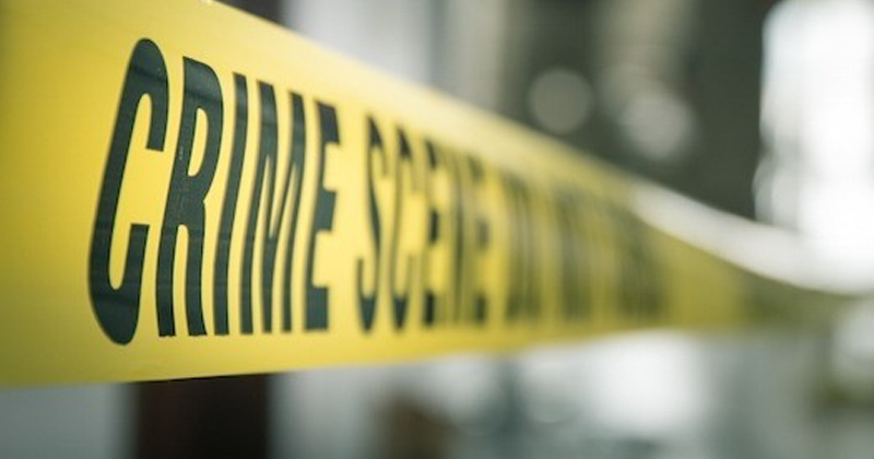 12crimemsacsvahorogauusdj.png