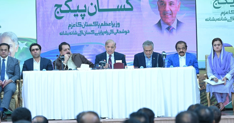 13shehbakisanpackage.jpg