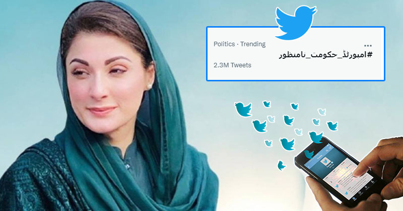 14maryambotsclaimtrend.jpg