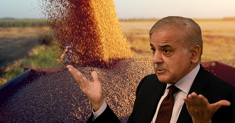 14wheatshehbabsbcommittee.png