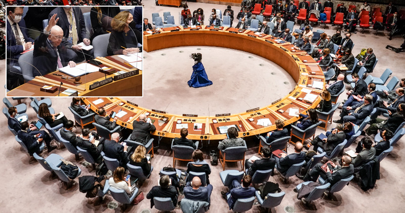 17russiaukrinwveto.jpg