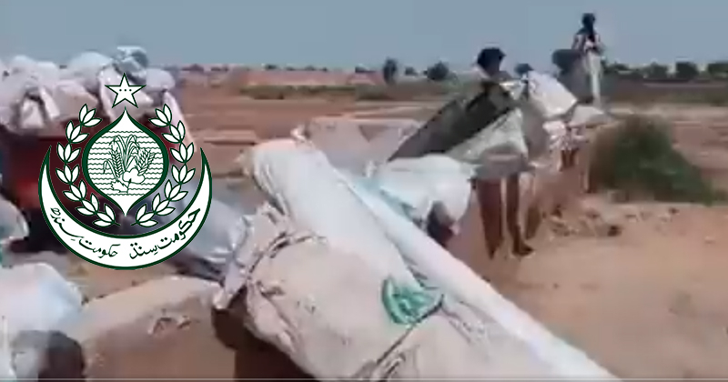 17sehwanaactabdeel.jpg