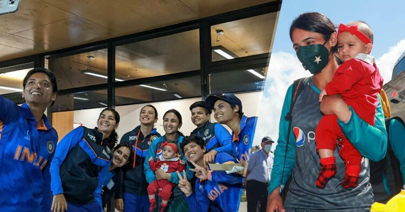 19femalecricket.jpg