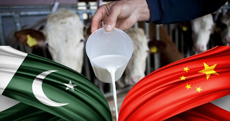 2chianmilk.jpg