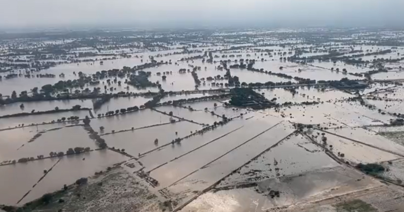 2kpkpflooedheavy.jpg