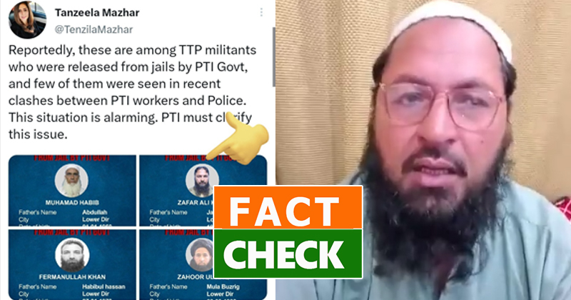 2pmlnmediacellll.jpg