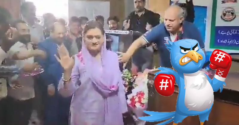 3phooolpaianananan.jpg