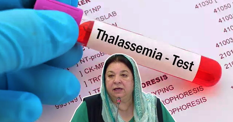 3yasminthelesimia.jpg