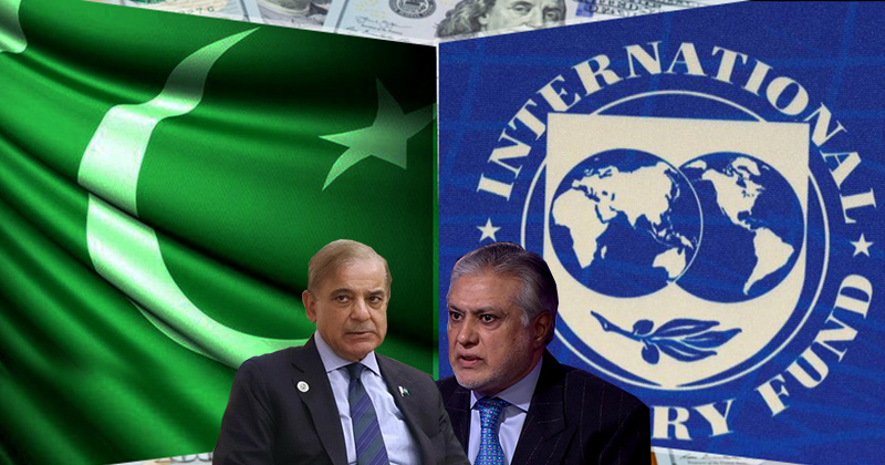 4imfdomree.jpg