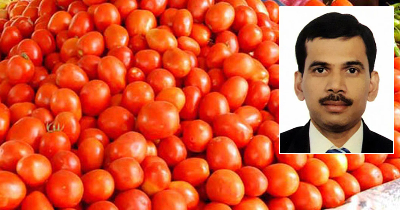 4sureshkumartomato.jpg