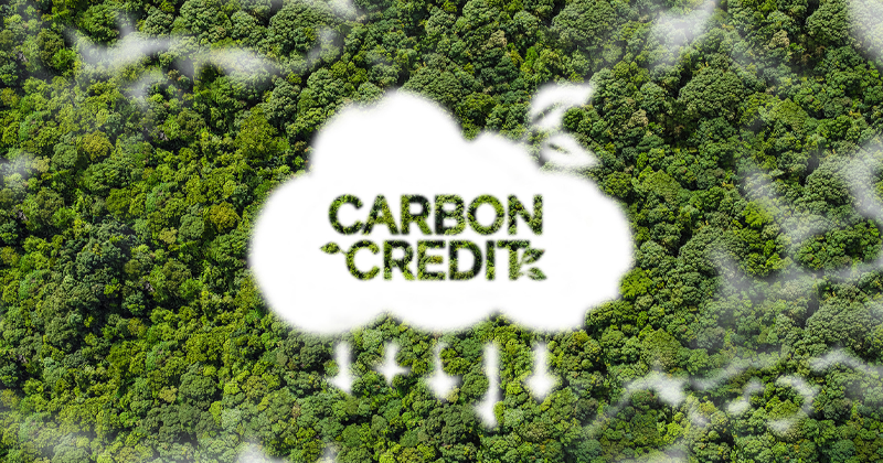 5carboncreditkjskjdkjd.png