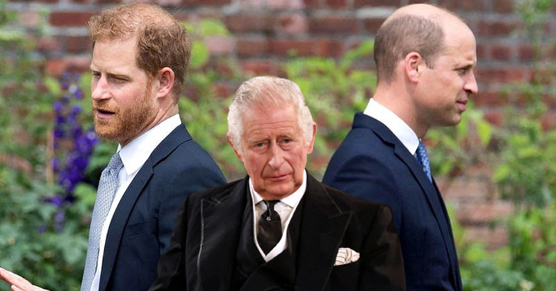 5harrywillaiam.jpg