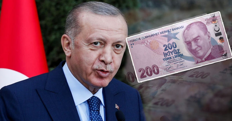 5liraerdogan.jpg
