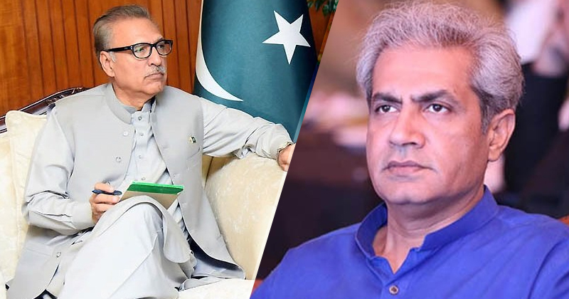 6cheeemaarifalvi.jpg