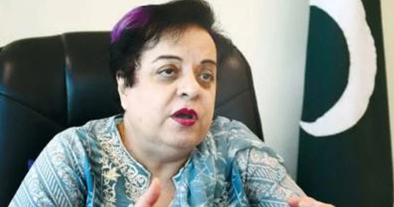 6shireenmazariwazahatispr.jpg