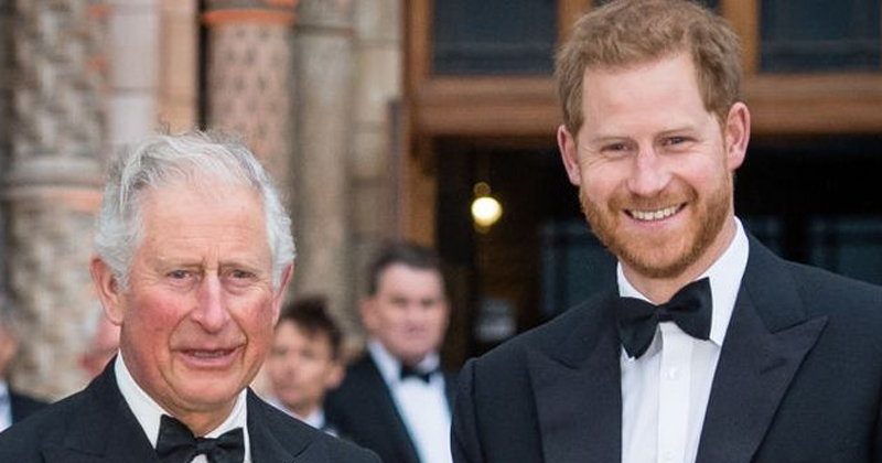 7princeharrykingchalrs.jpg