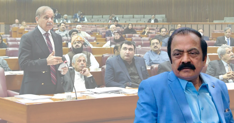 7ranasanaqoumfaislakr.jpg