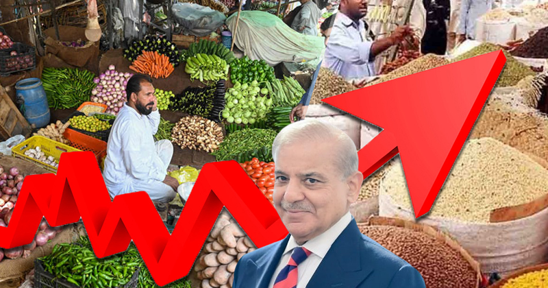 7shehbaksjsjkjjs.png