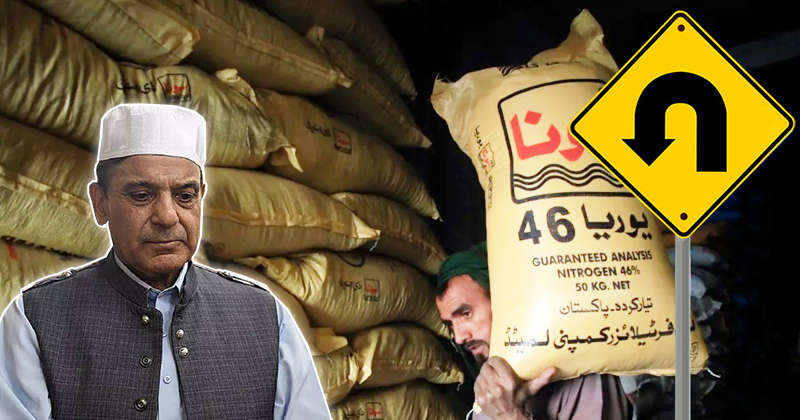 8khadpticeutrunshehbaz.jpg