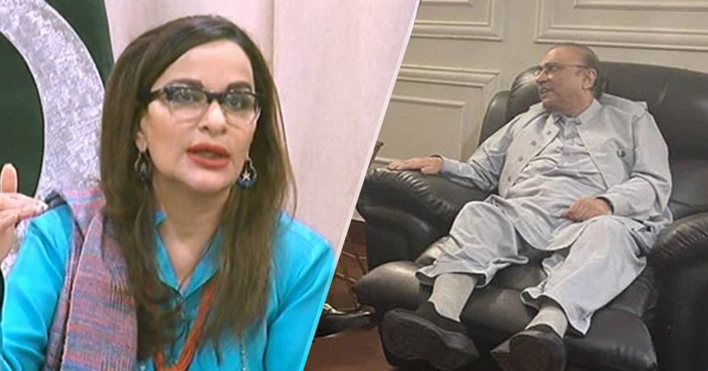 8zardartisejhhatsherry.jpg