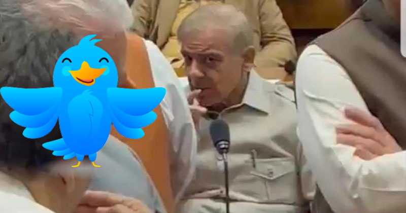 9shahbazgardancut.jpg