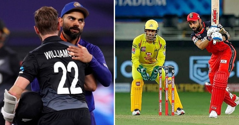 IPL.jpg