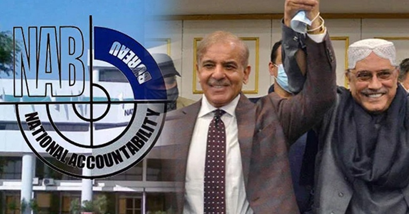 NAB-shehbaz-zardri-tr.jpg