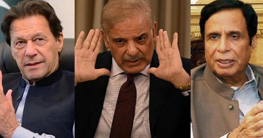 amaldda.jpg