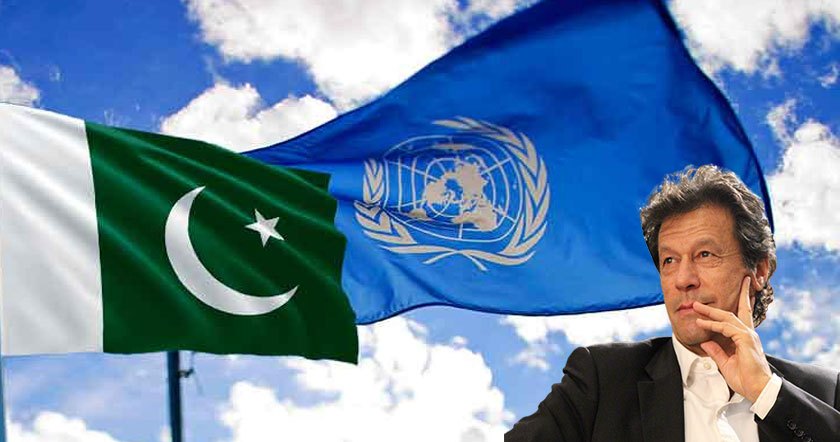 awam111.jpg