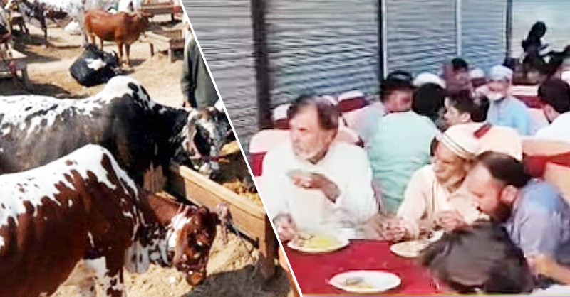 bakra-eid-dawat-aam.jpg