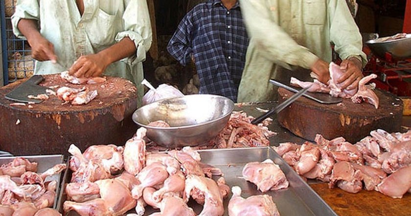 chicken1bea.jpg