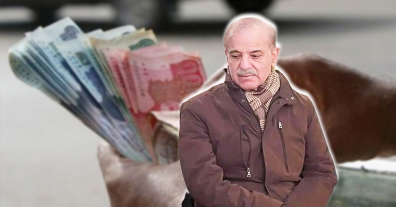 cpr-shehbaz-govt-pl.jpg