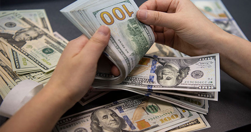 dollah1i111h21.jpg