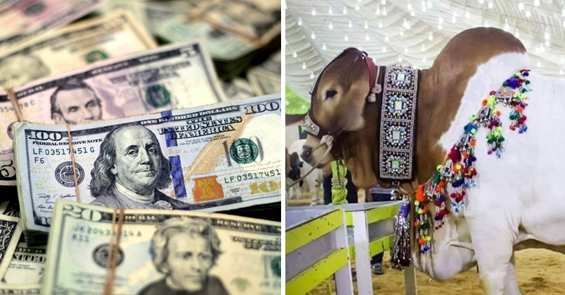 doller-pakistan-qurabi.jpg