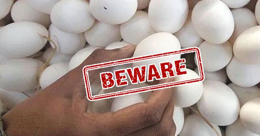 fake-eggs11.jpg