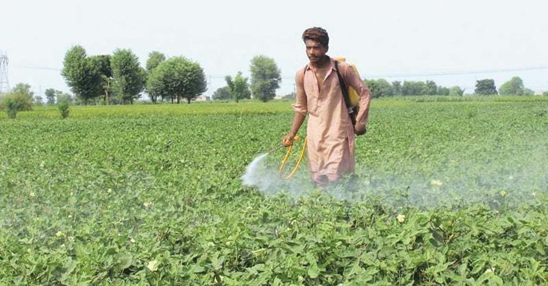 farmers-pakistan-loan-kamyab-jawab-pg.jpg