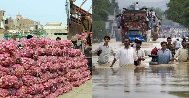 flood-pak-on-tm.jpg